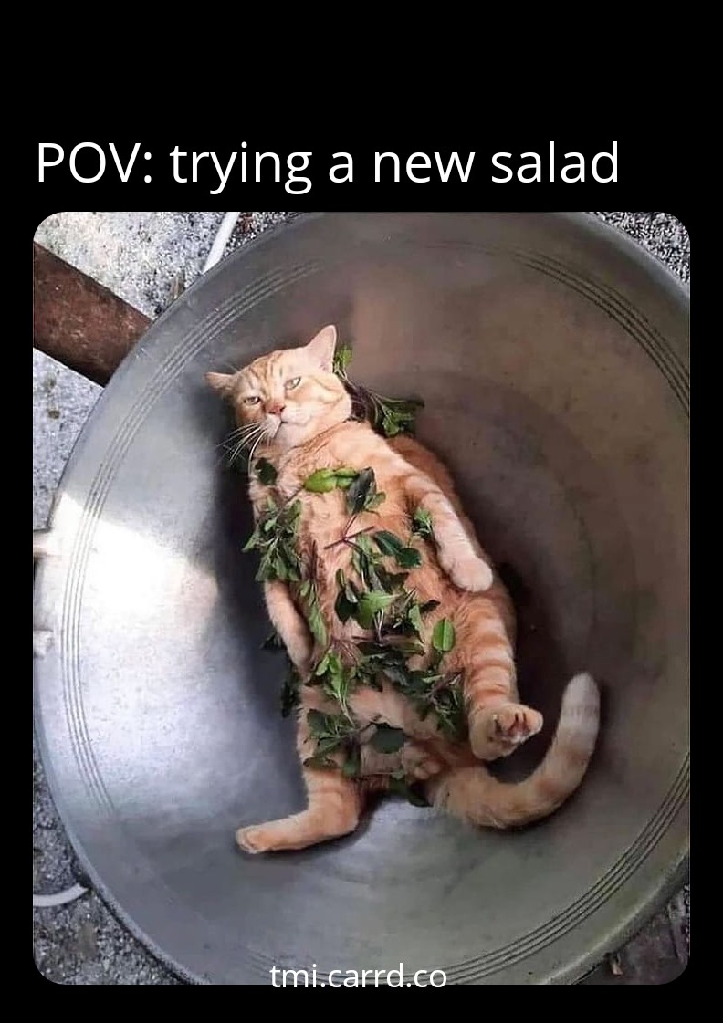 Ownmates Post